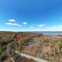 Upper Accokeek Creek