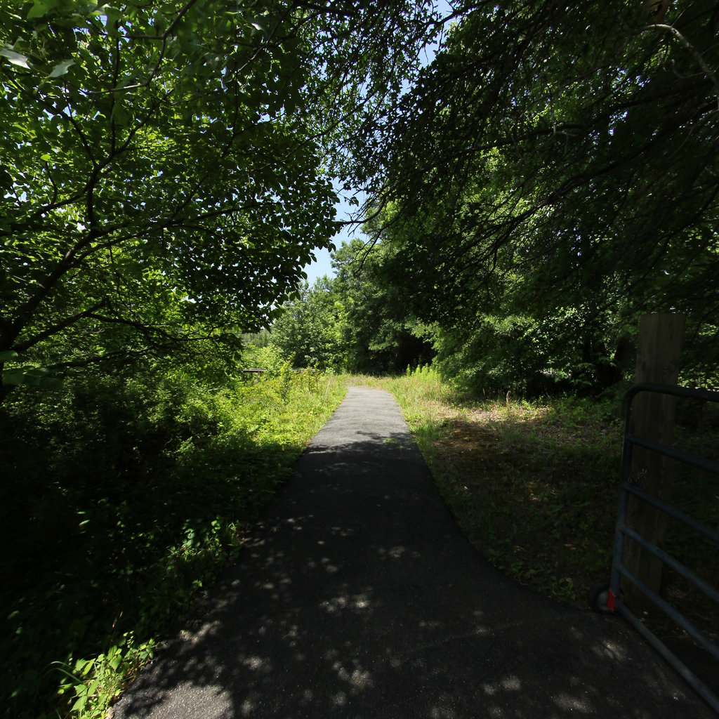 Accokeek Creek Boardwalk 2