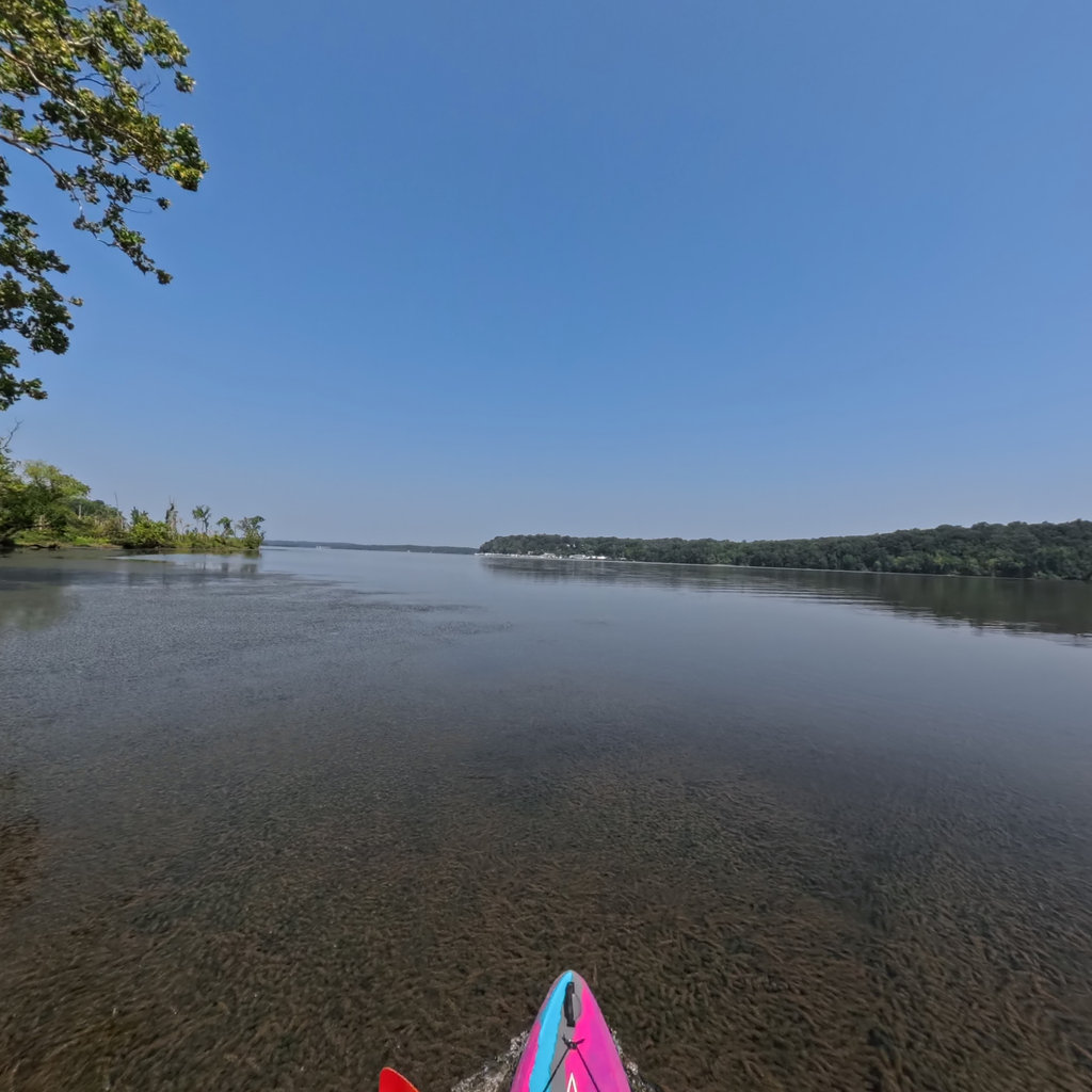 Potomac River Shoreline scene image looking forward