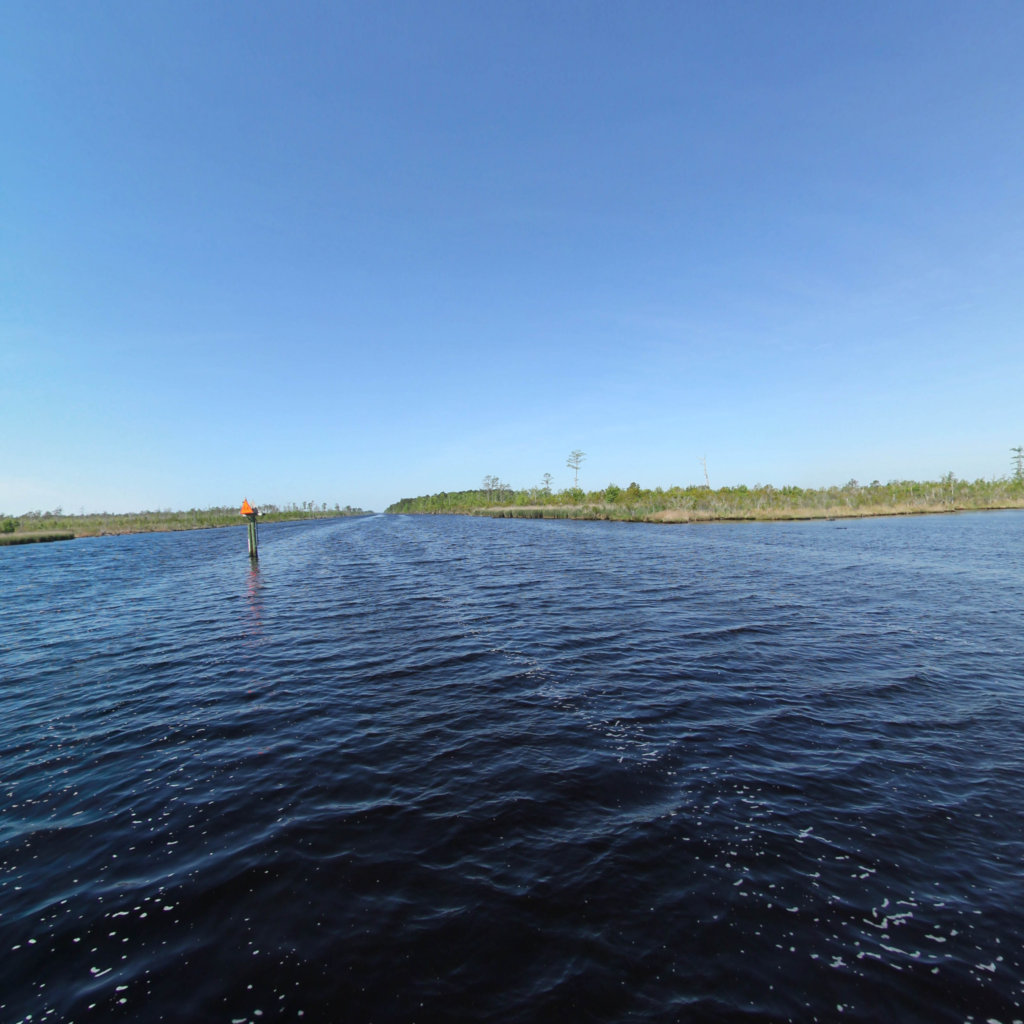 Pungo | Alligator River Canal scene image looking forward