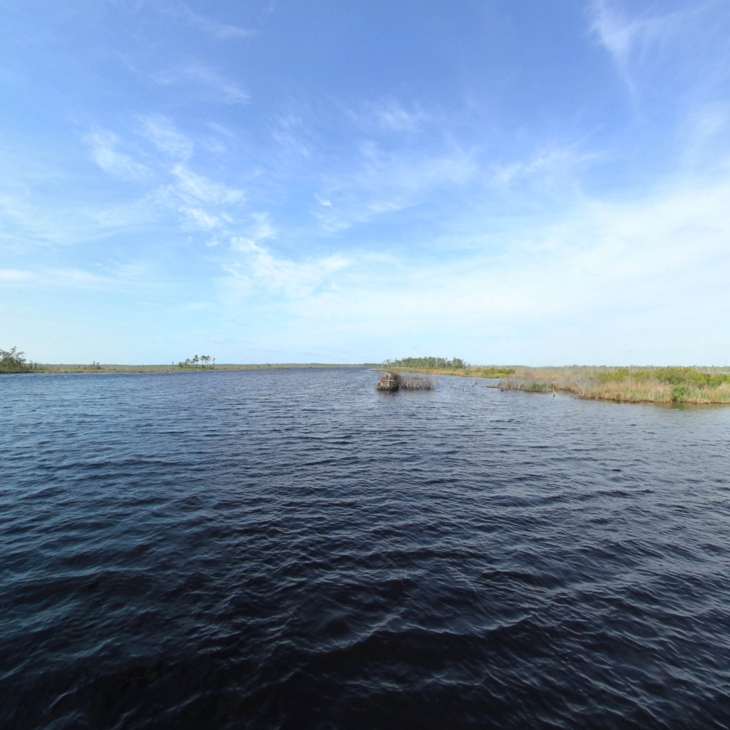 Alligator River scene image looking forward
