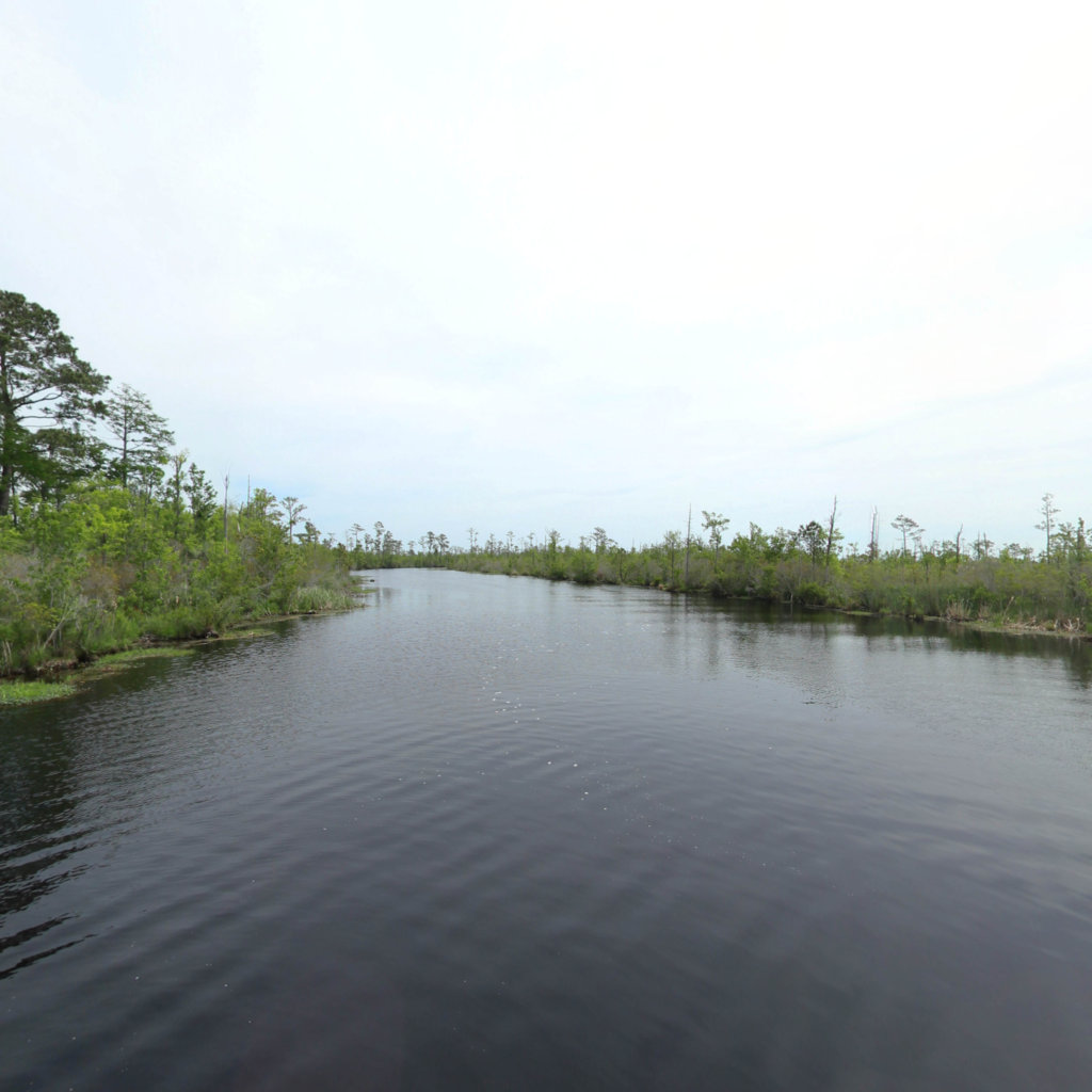 New Lake Game Land Alligator River