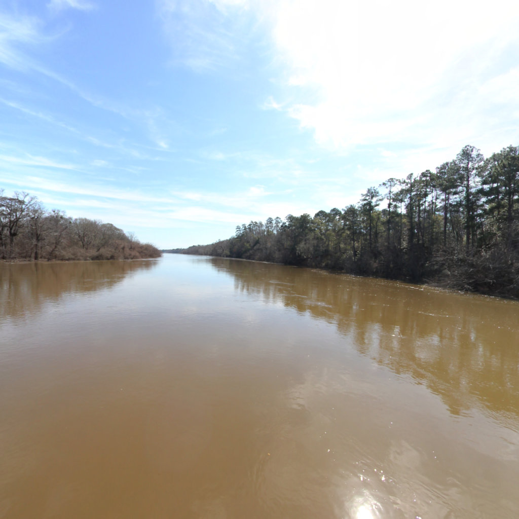Oglethorpe Bluff Landing - Altamaha regional Park Landing