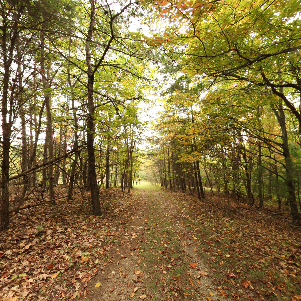 Bottom Creek Gorge Trail to Kiosk 