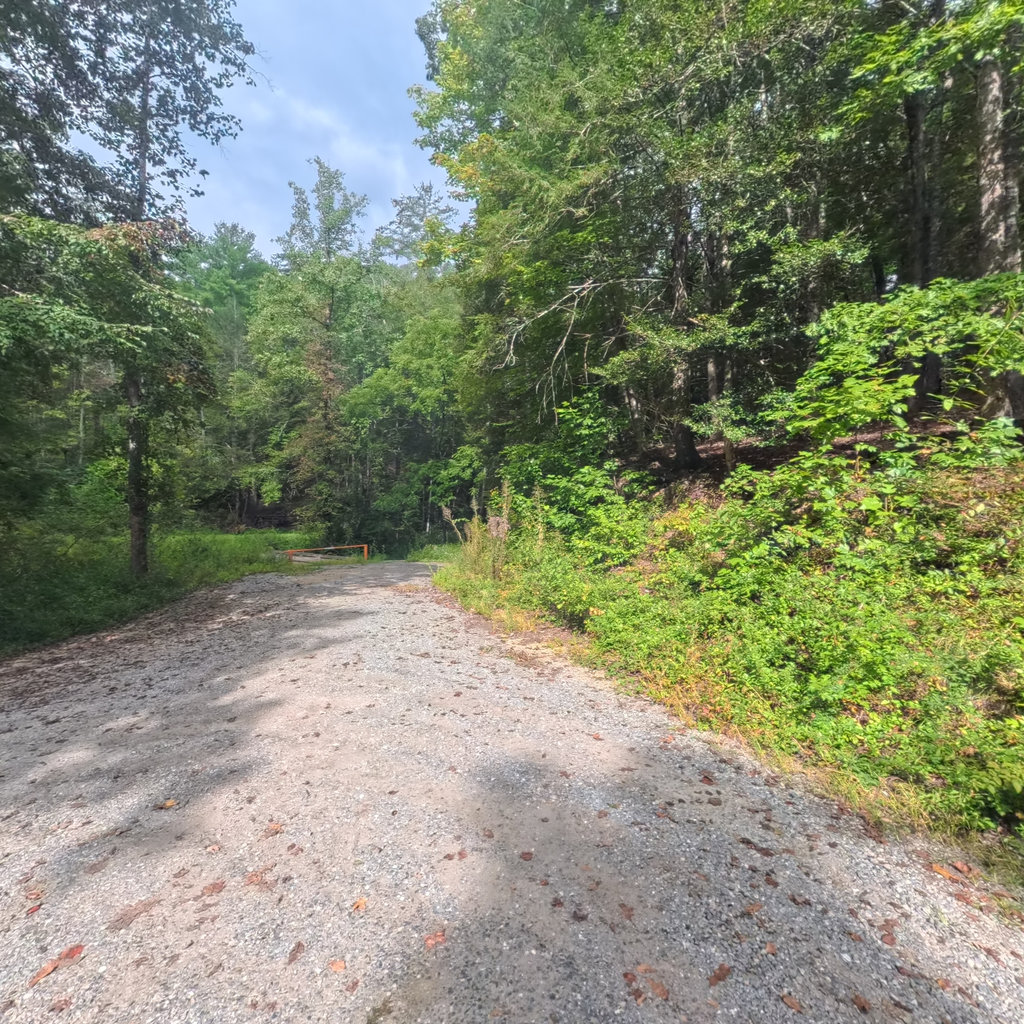 Black Bear Creek Trail