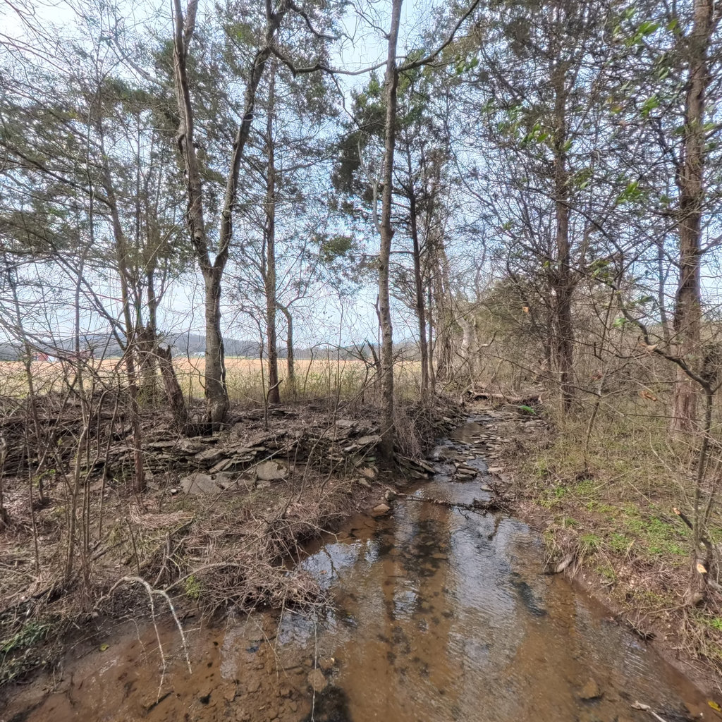 360° panoramic view of Black Branch 2