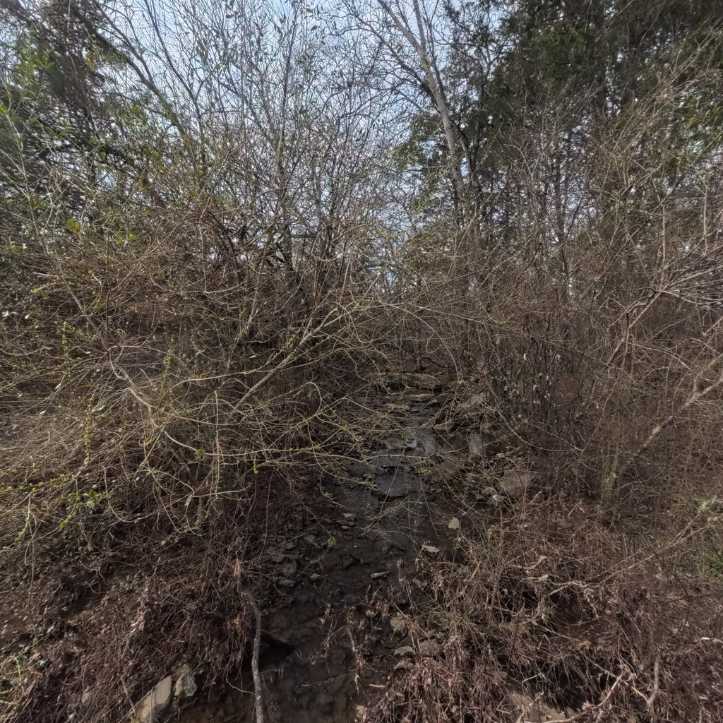 360° panoramic view of Black Branch South
