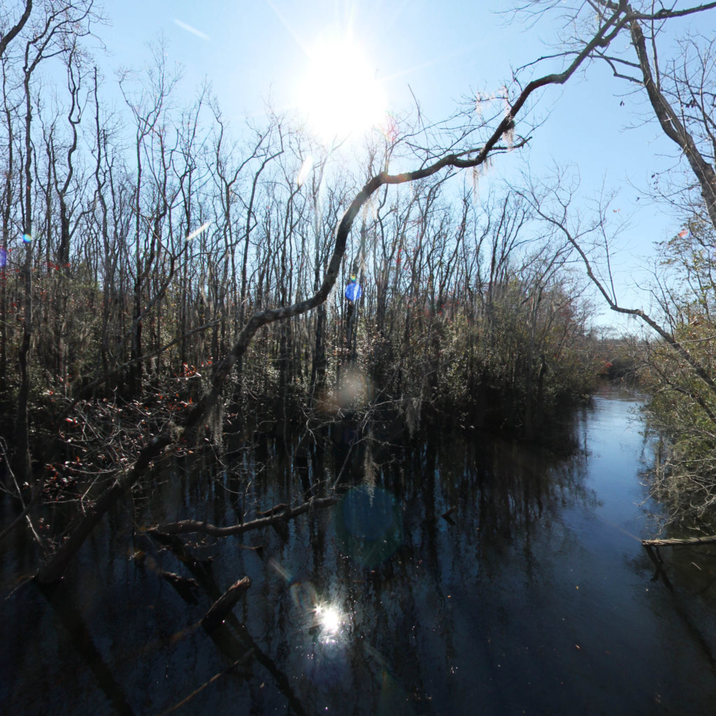 High Bluff to Milton scene image looking forward