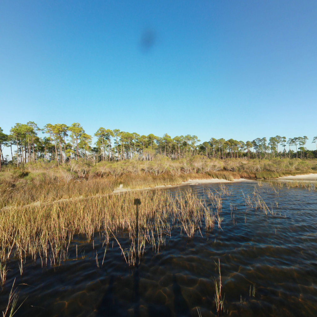 Escribano Point WMA Bayside Campground scene image looking forward