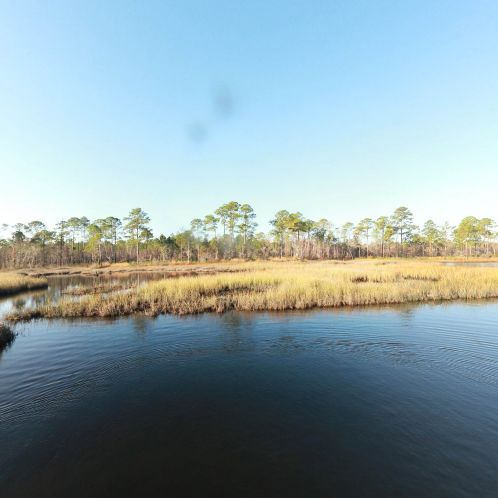 Fundy Bayou scene image looking forward