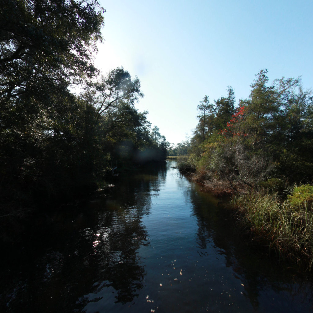 Jakes Bayou scene image looking forward