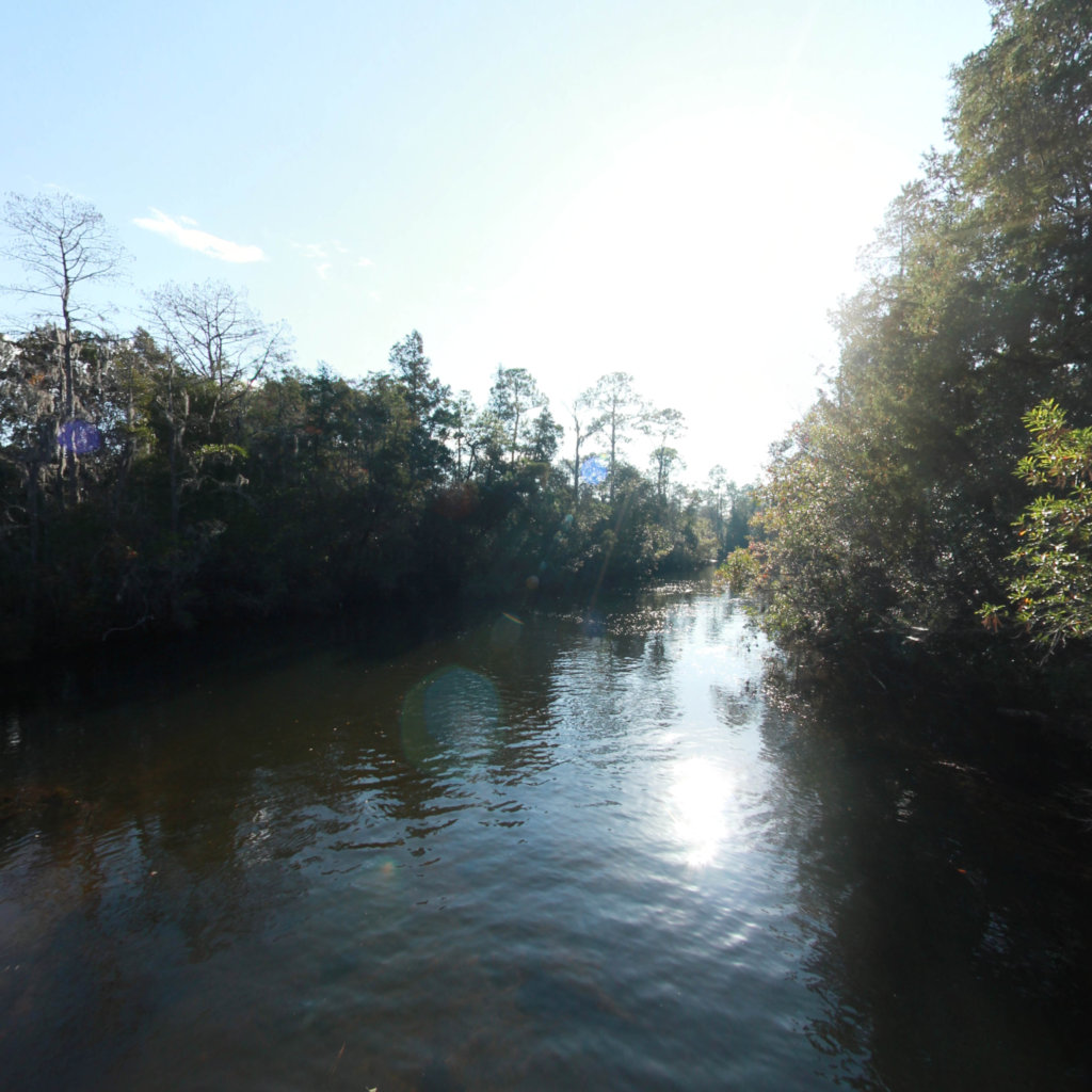 Pond Creek scene image looking forward