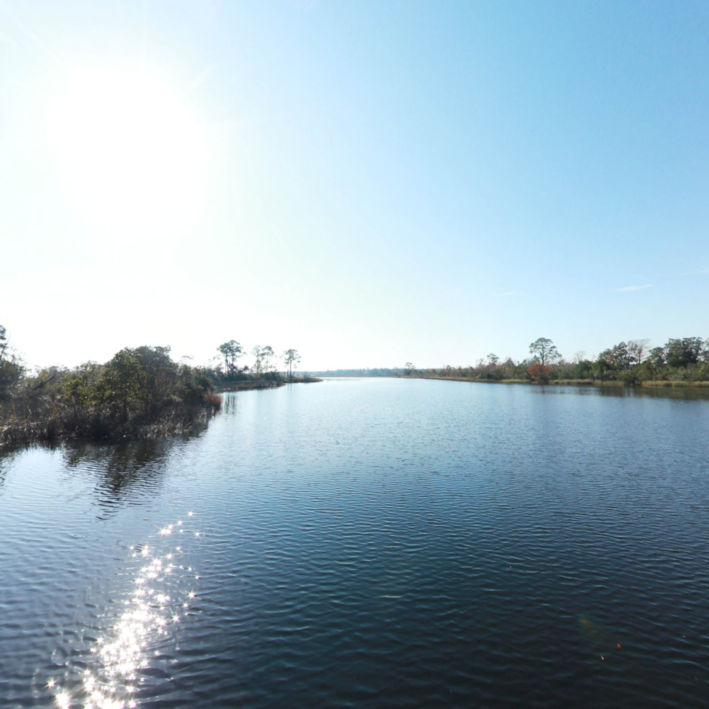 Island 1 scene image looking forward