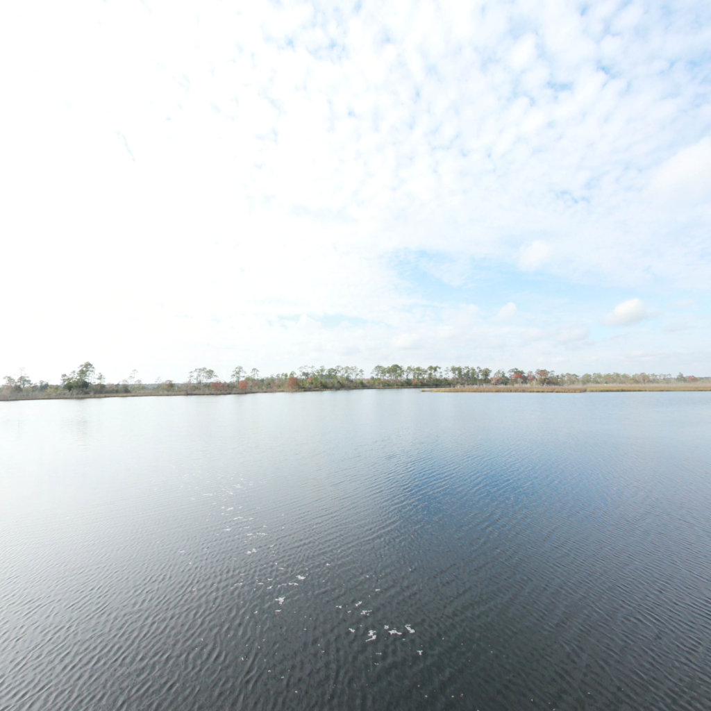  Island 2 scene image looking forward