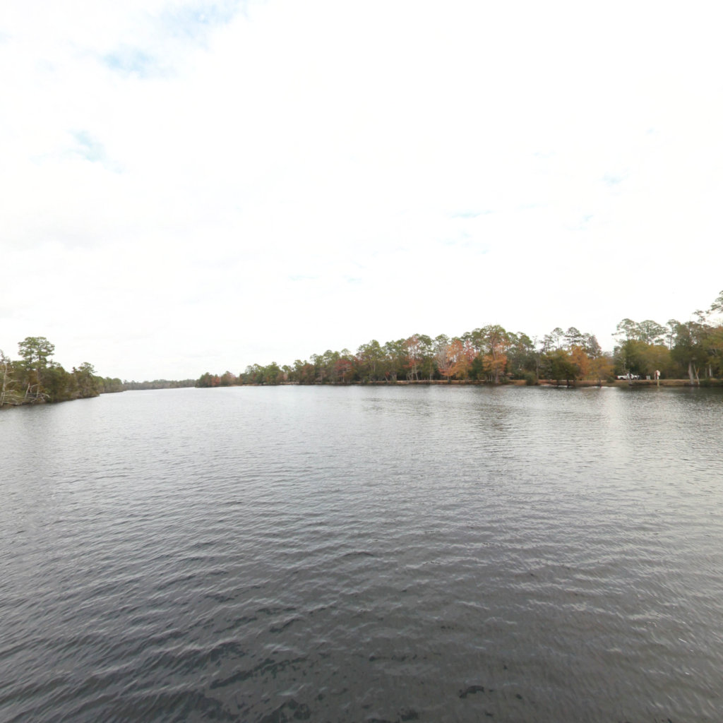 Quinn Bayou scene image looking forward