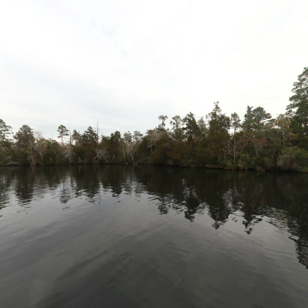 Marquis Basin scene image looking forward