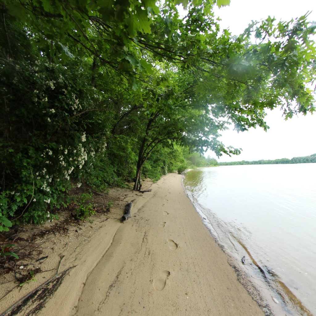 Chapel Point Beach scene image looking forward