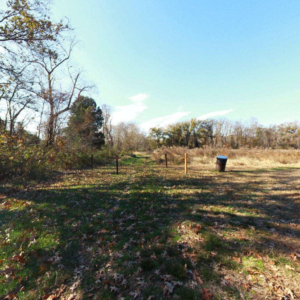 Eagle Trail scene image looking forward