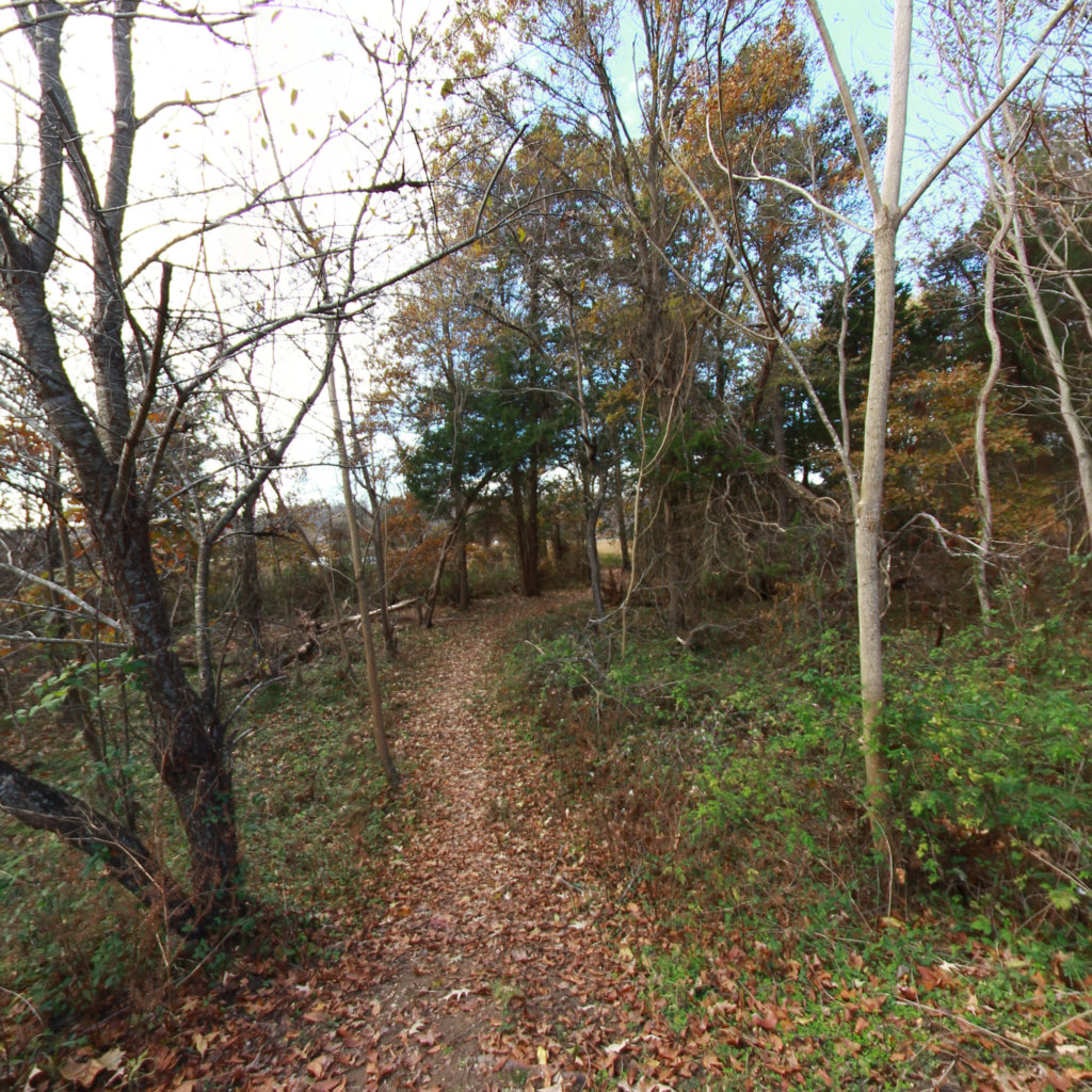 Wetlands Trail