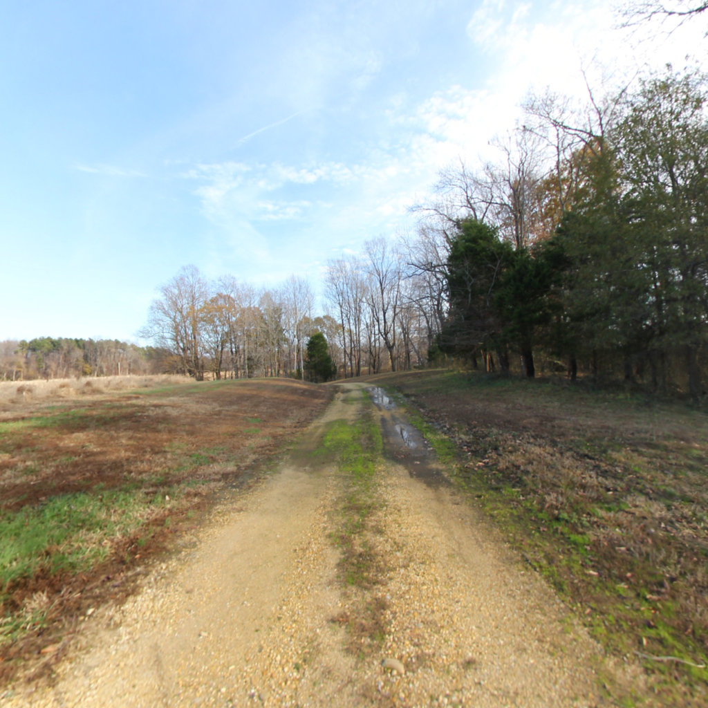 Friendship Blue Trail