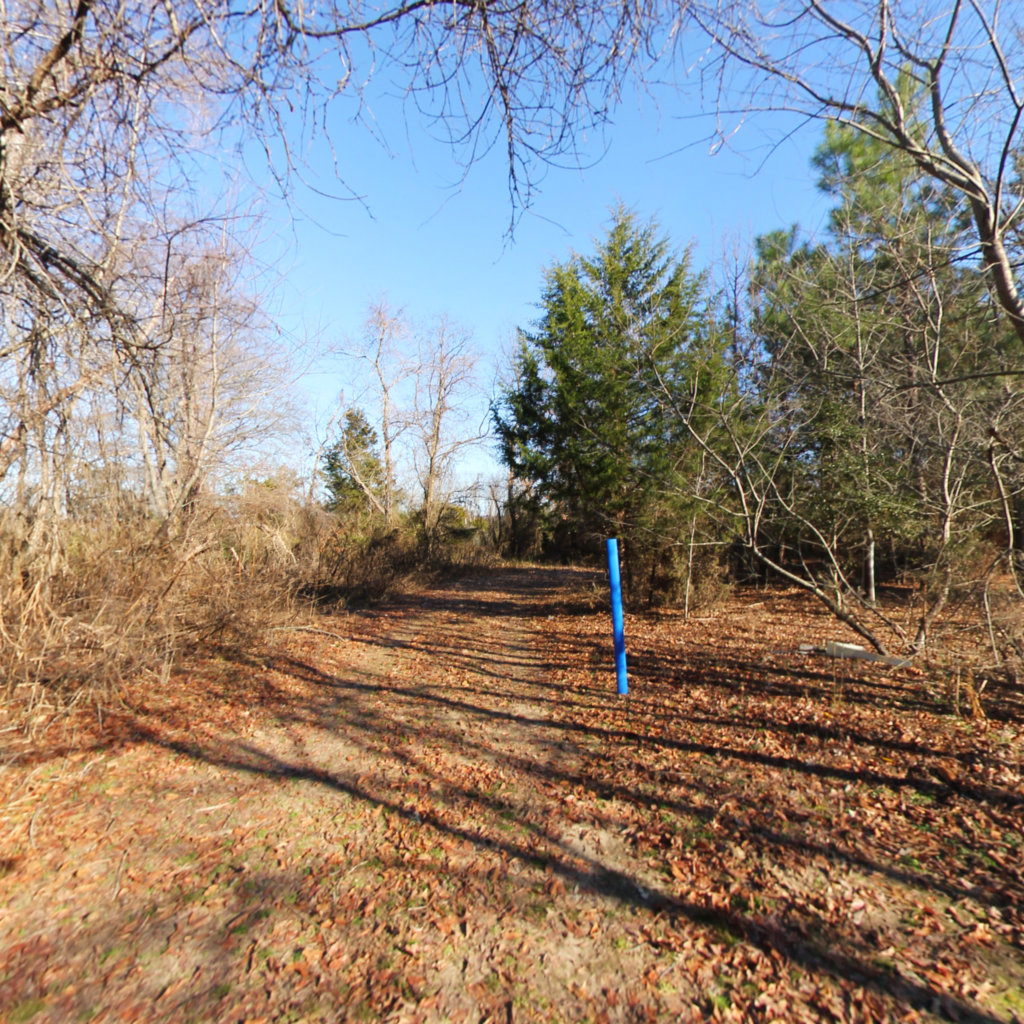 Blue Trail 3 Maxwell Hall