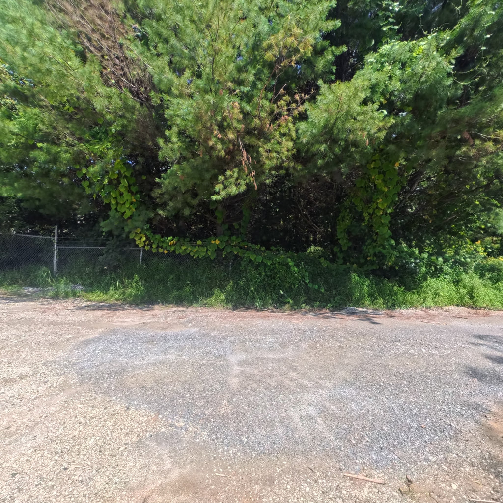 Davenport Springs Bridge