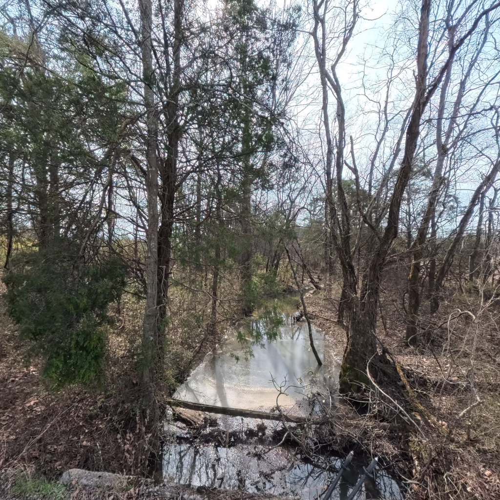 360° panoramic view of Dry Fork Branch