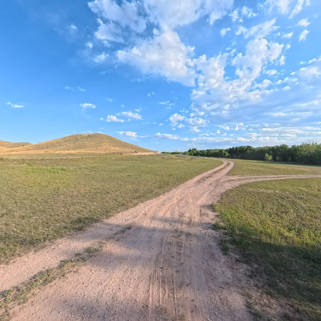 Elkhorn