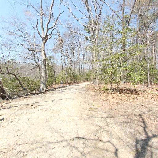 Forest Exploration Trail 