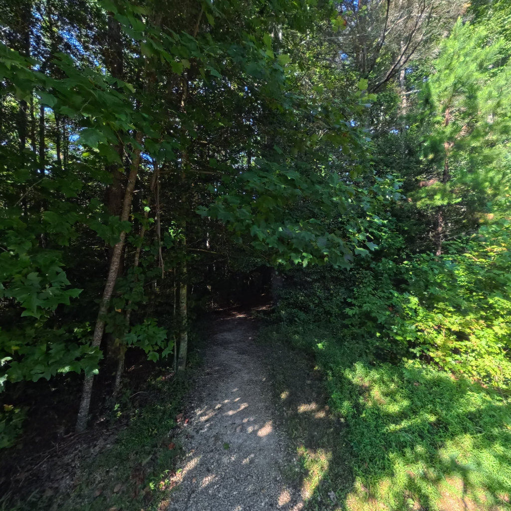 360° panoramic view of Holly Discovery Trail
