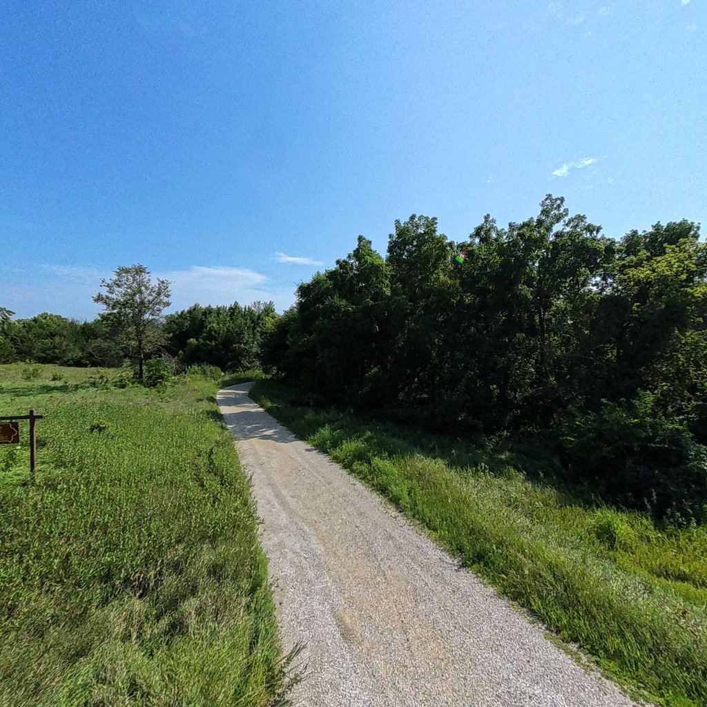 Willows Access Wma scene image looking forward