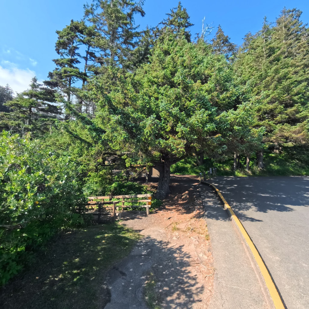 Clatsop Loop Trail scene image looking forward