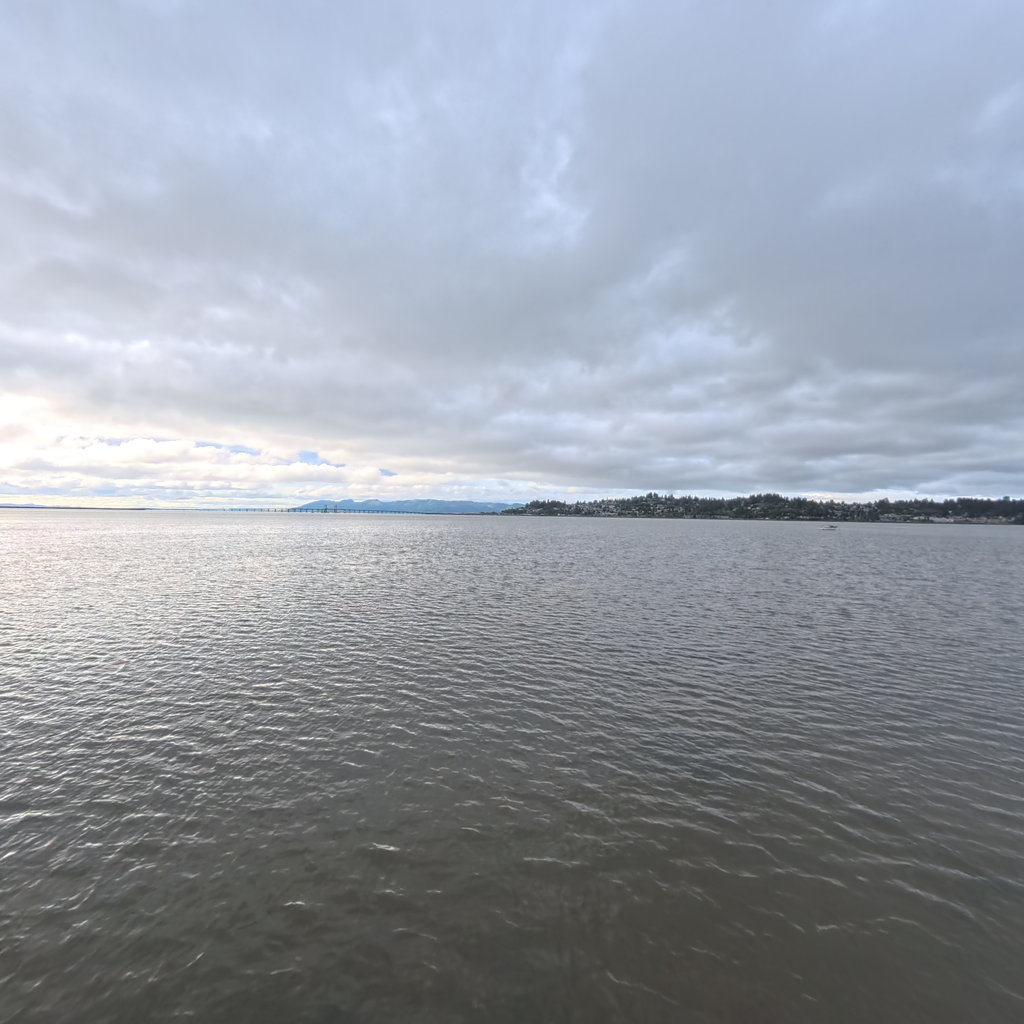 Youngs River scene image looking forward