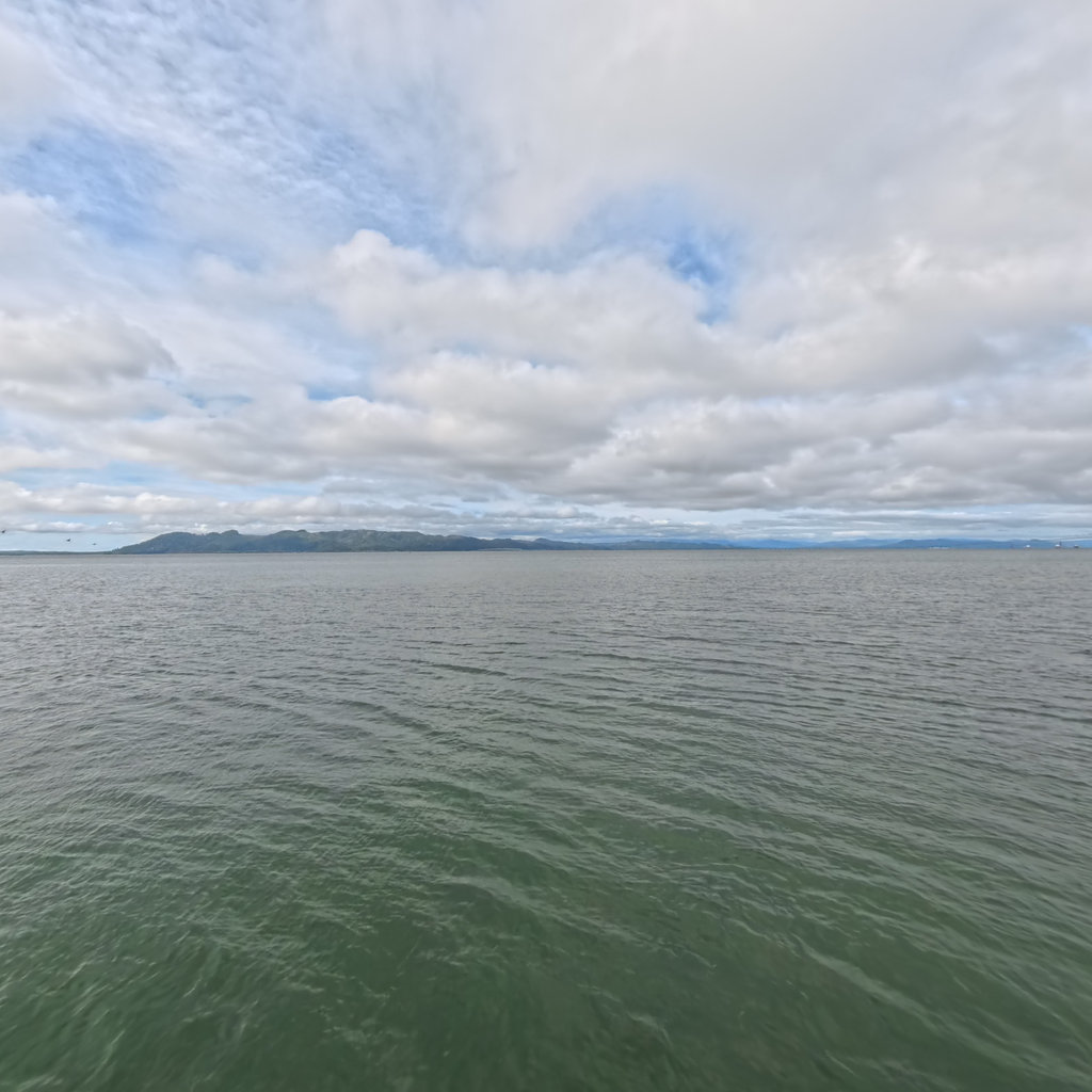 Youngs River scene image looking forward