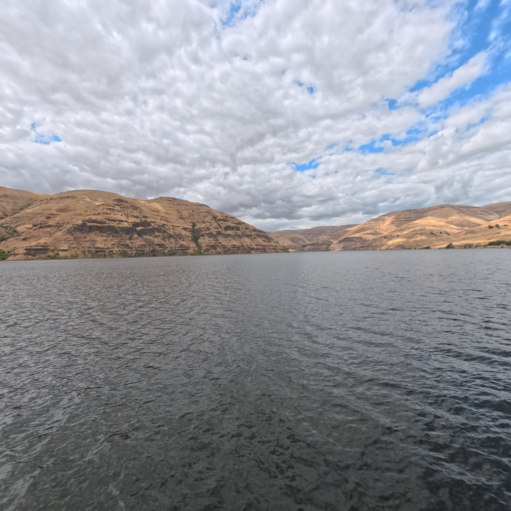 Lower Granite Lake scene image looking forward