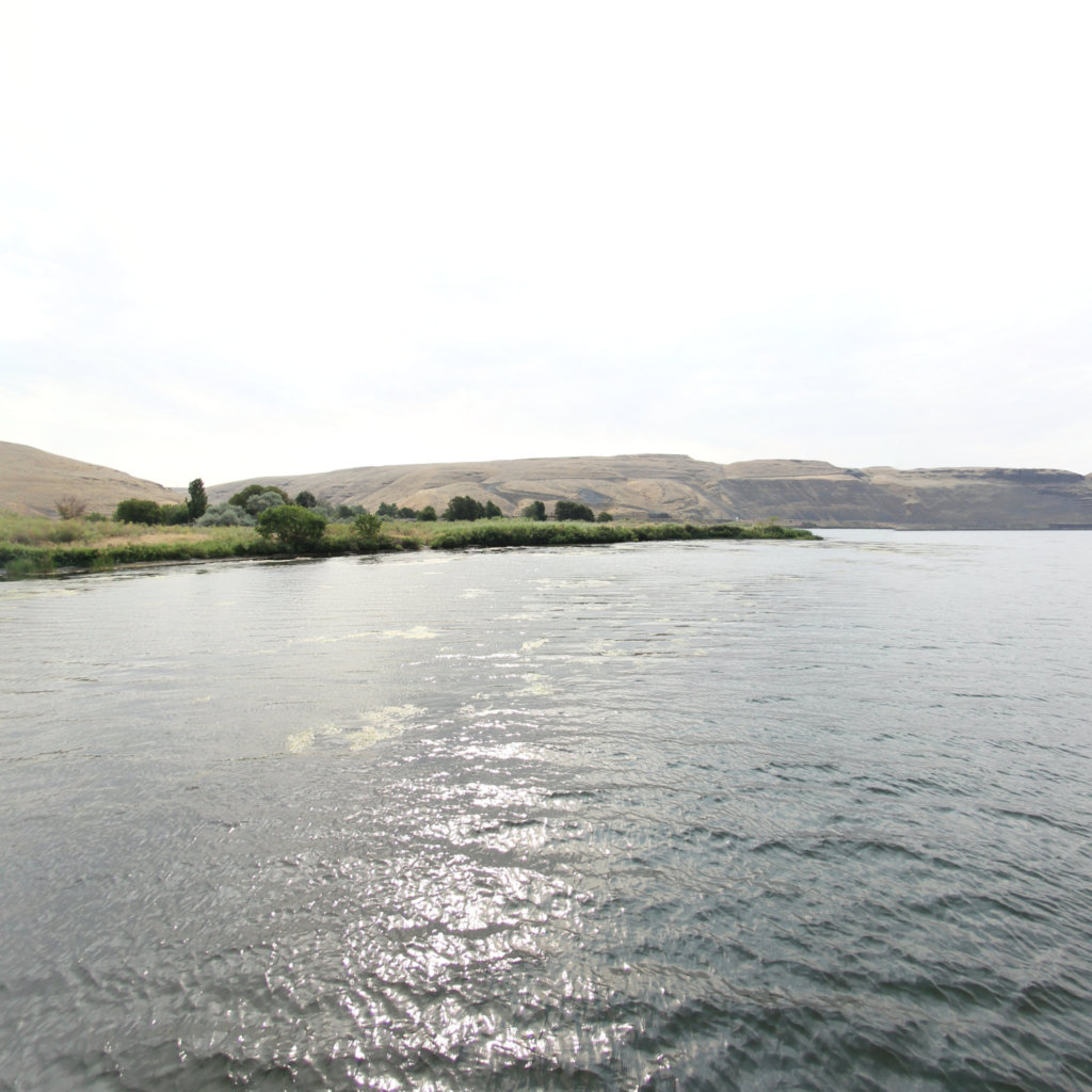 Walker to Fishhook Park scene image looking forward