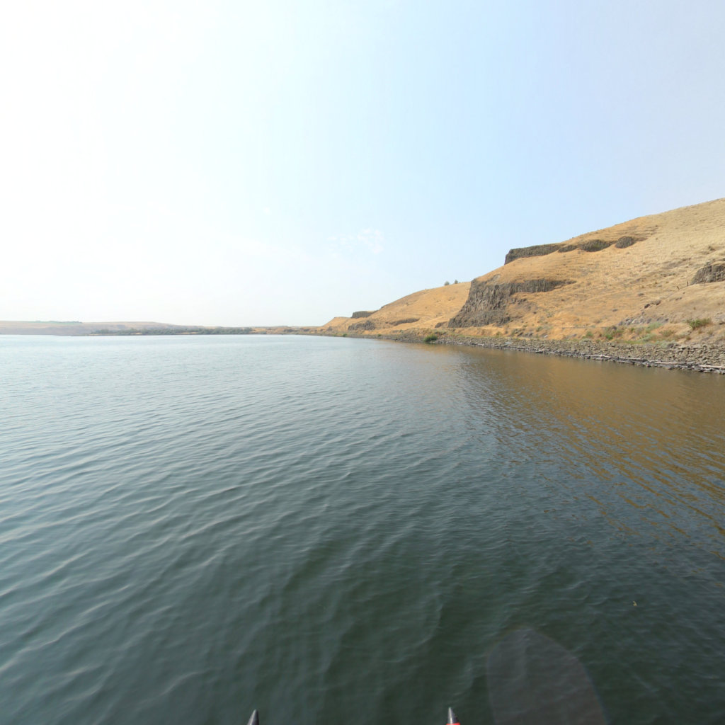 Big Flat Habitat scene image looking forward