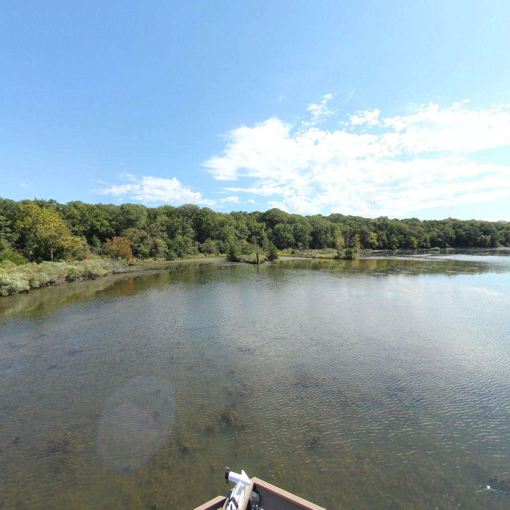 360° panoramic view of Mallows Bay - High tide - High Tide