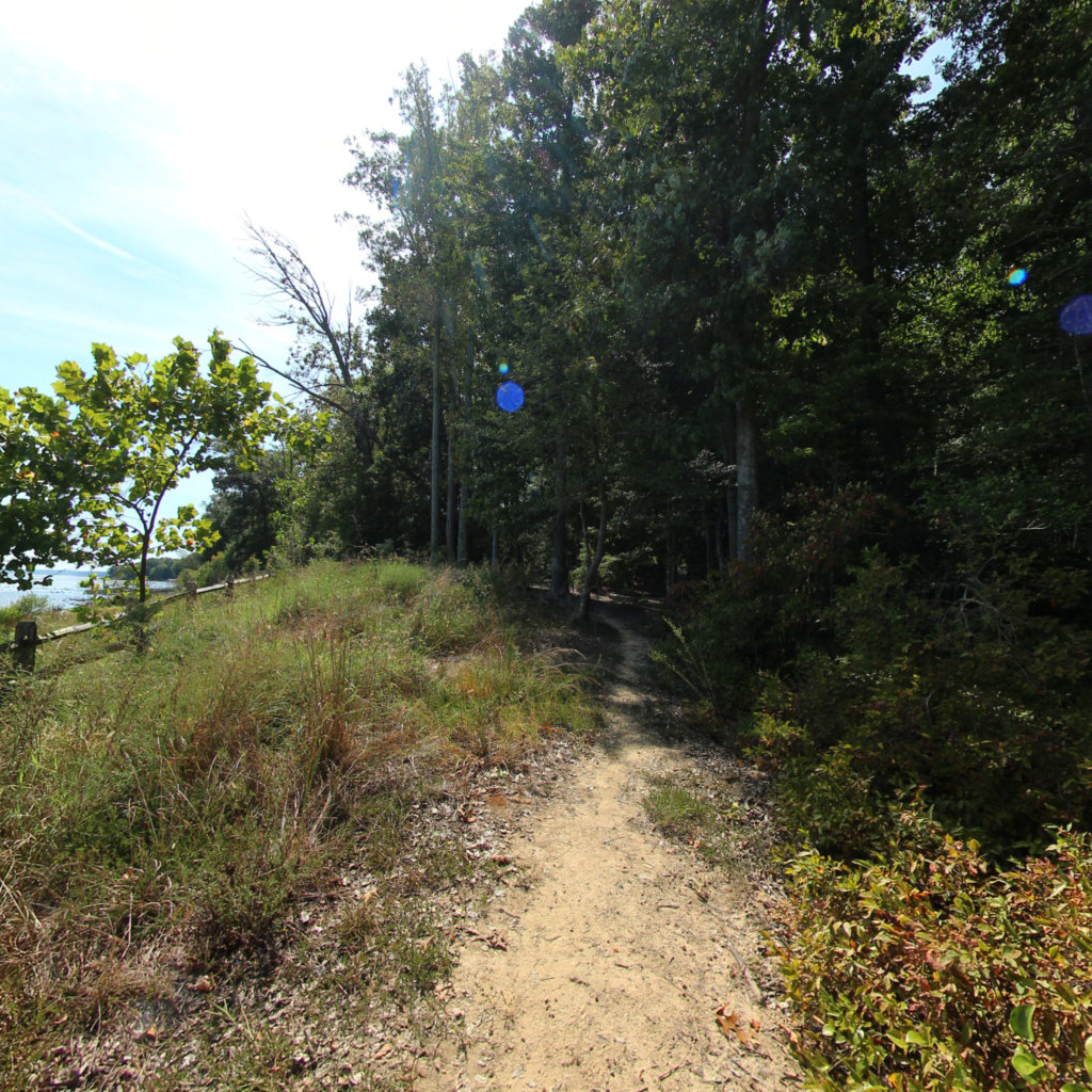 360° panoramic view of Holly Marsh Shoreline - Widewater State Park Trails