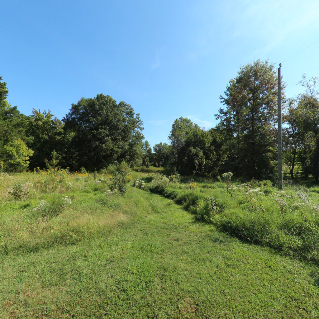 360° panoramic view of Long Pond Trail - Widewater State Park Trails