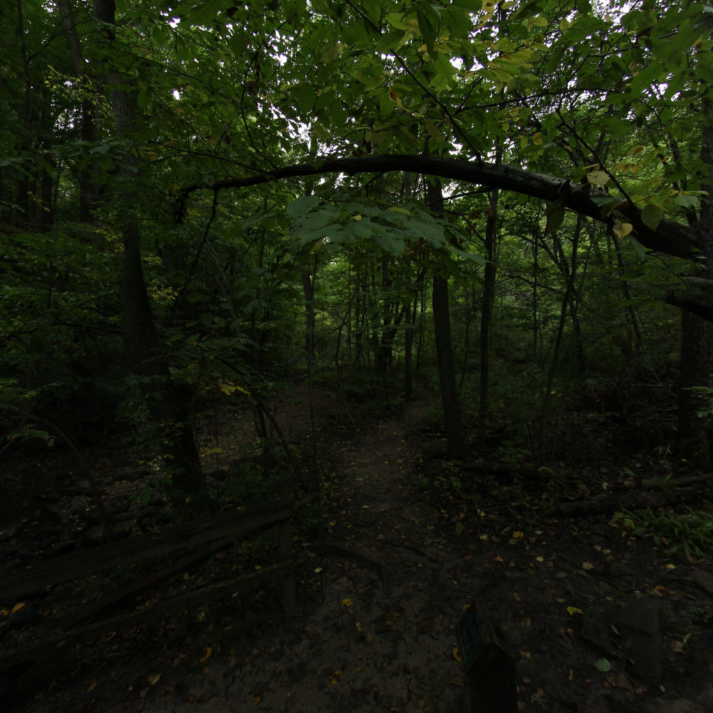 Fitzgerald Park 10 scene image looking forward