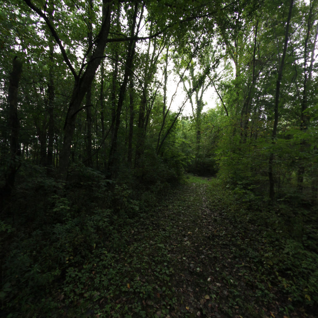 Fox Memorial 4 scene image looking forward