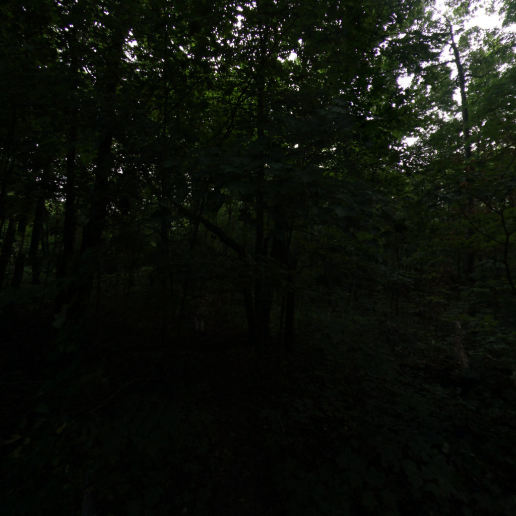 Fox Memorial Park 2 scene image looking forward