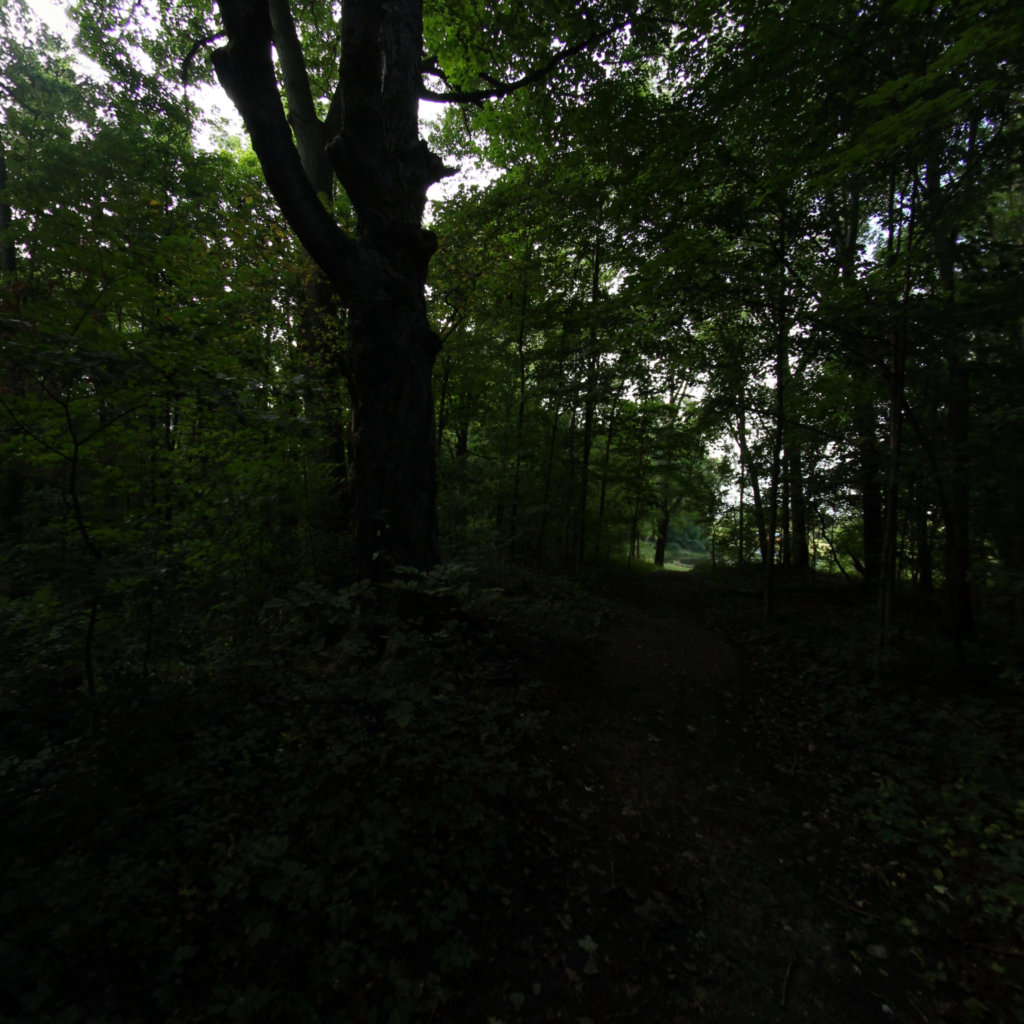 Fox Memorial 3 scene image looking forward