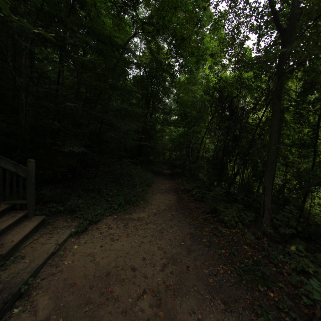 Fitzgerald Park 2 scene image looking forward