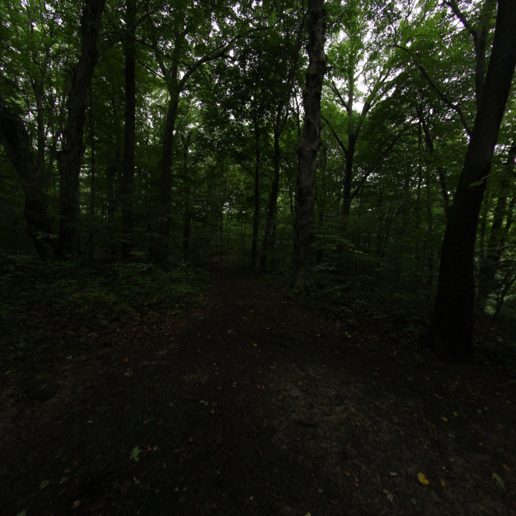 Fitzgerald Park 3 scene image looking forward