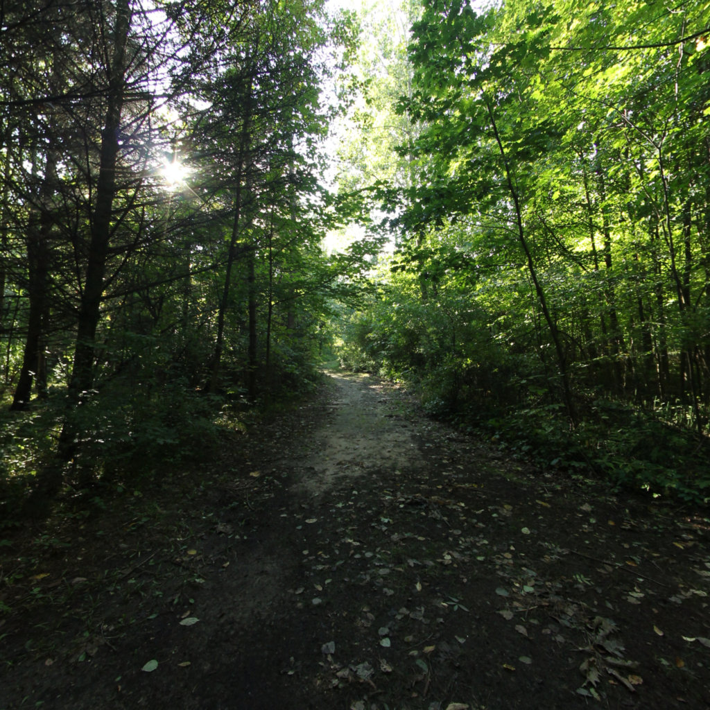 Eastgate Park scene image looking forward