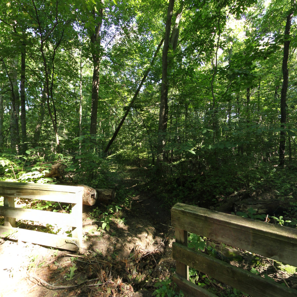 Harris Nature Center 2 scene image looking forward