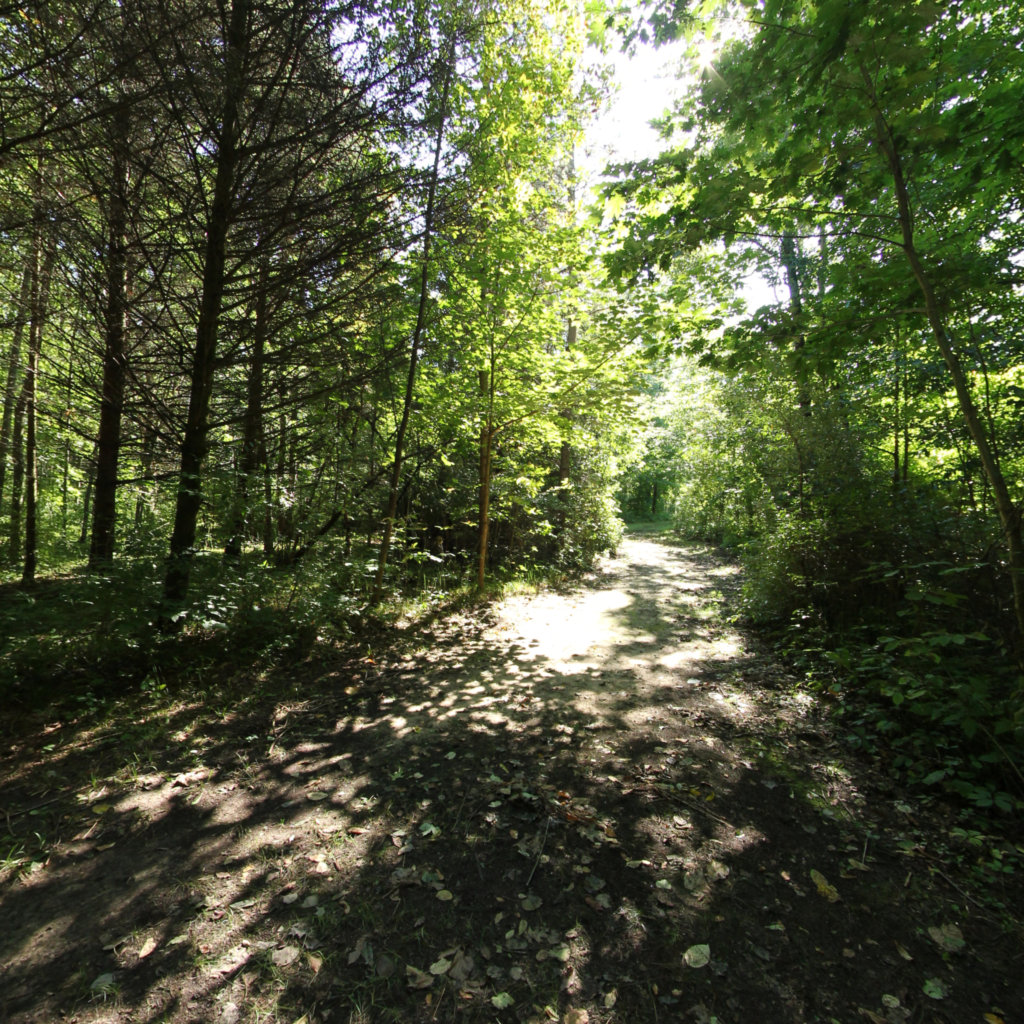 Harris Nature Center 3 scene image looking forward