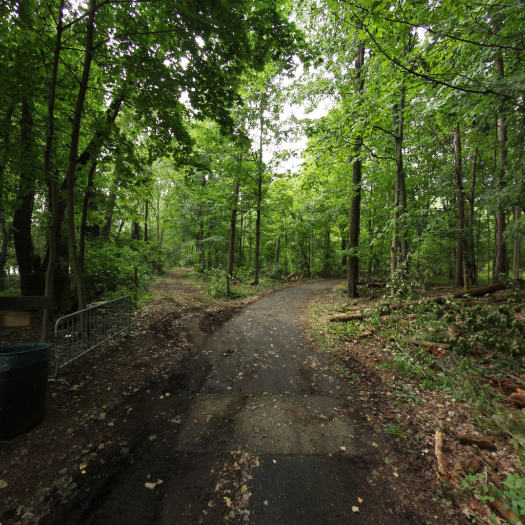 Fenner Nature Center 5 scene image looking forward
